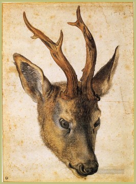  cabeza Arte - Cabeza de ciervo Alberto Durero